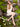 Robe sans manches en coton crocheté - Brouillard