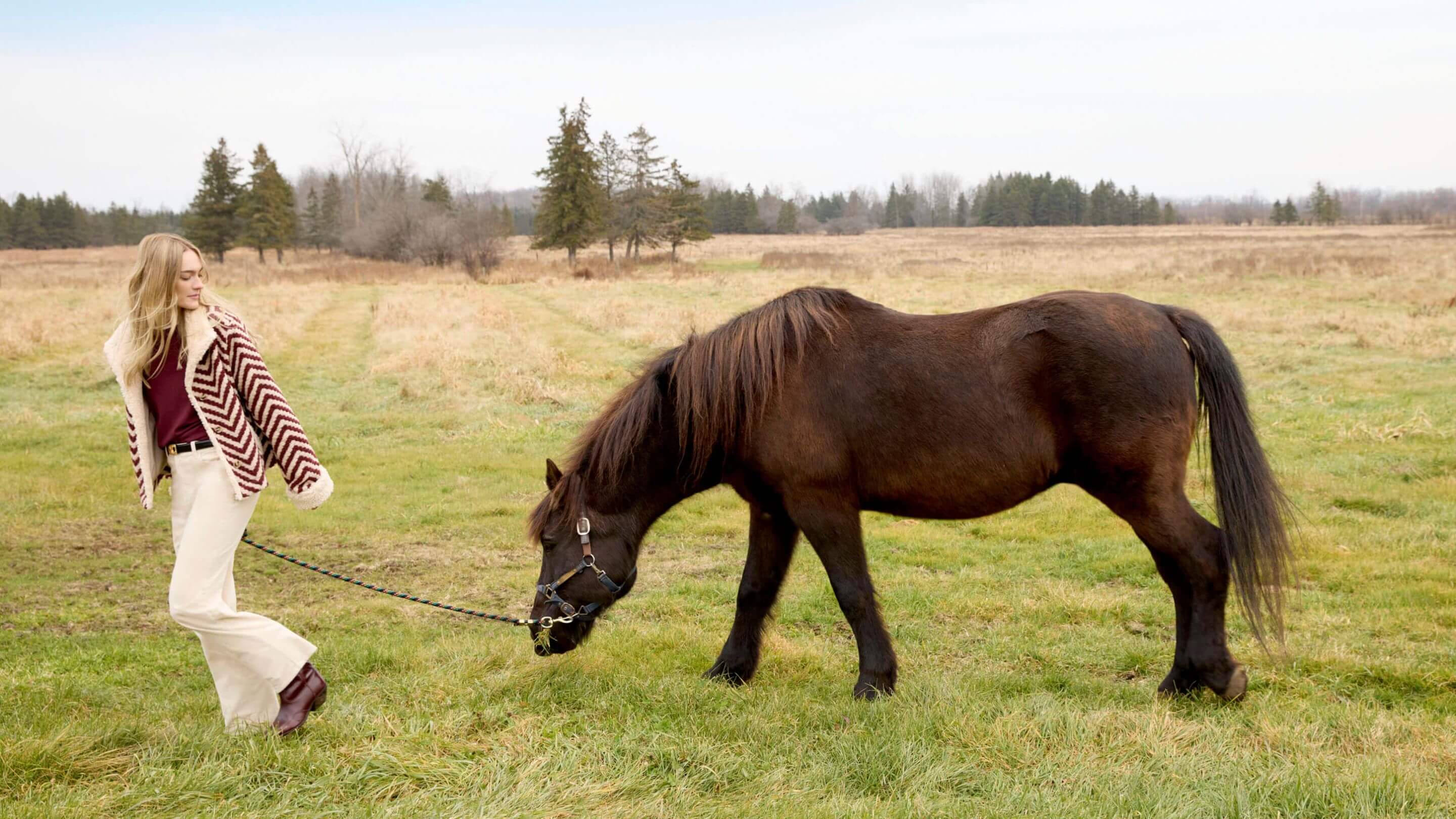 Charlie B Collection Canada - Women's New Arrivals - New tops, pants, denim and jackets