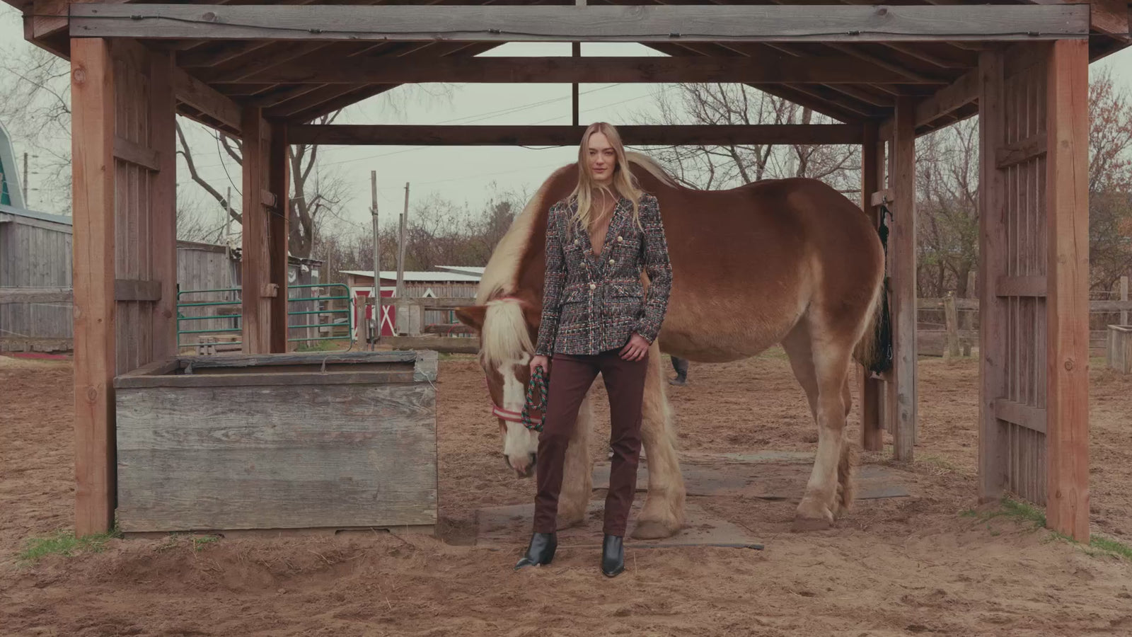Charlie B Collection Canada - Women's New Arrivals - New tops, pants, denim and jackets