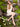 Charlie B Canada - Women's Dresses - Summer Dresses, Printed, Linen, Midi and Maxi Dresses