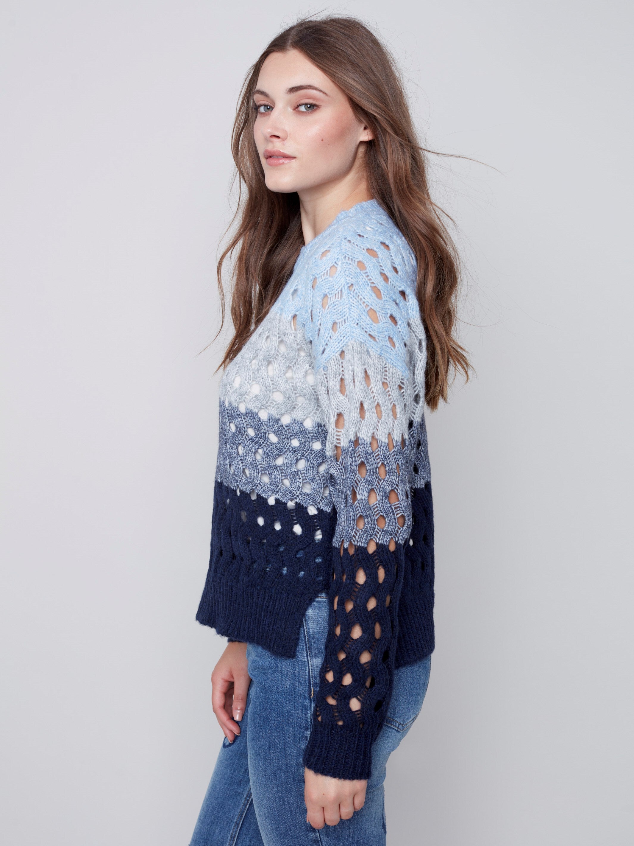 Striped Net Stitch Sweater - Indigo